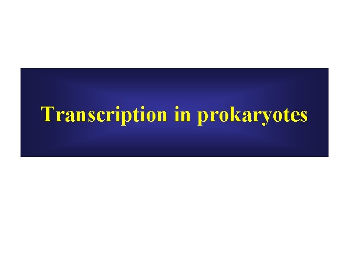Transcription in prokaryotes Transcription in prokaryotes