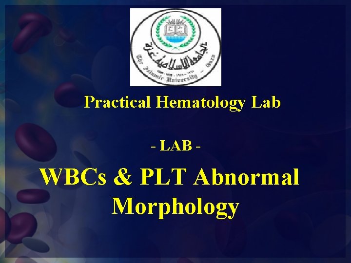 Practical Hematology Lab - LAB - WBCs & PLT Abnormal Morphology 