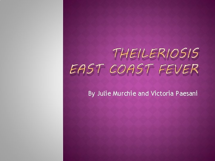 THEILERIOSIS EAST COAST FEVER By Julie Murchie and Victoria Paesani 