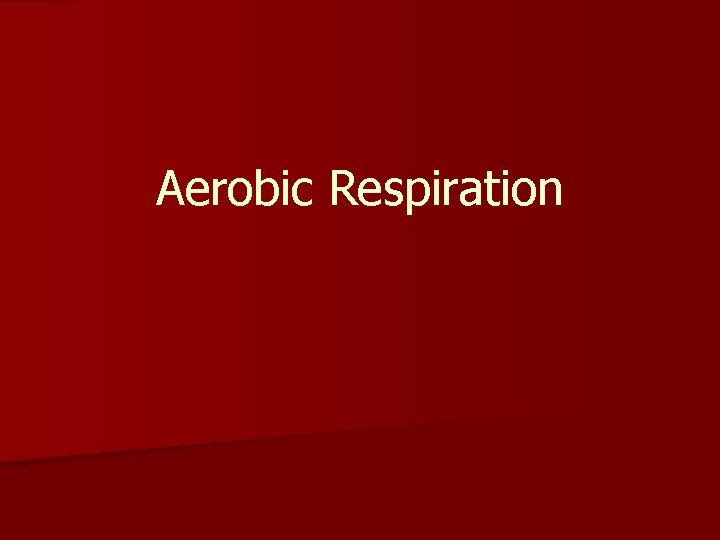 Aerobic Respiration Aerobic Respiration