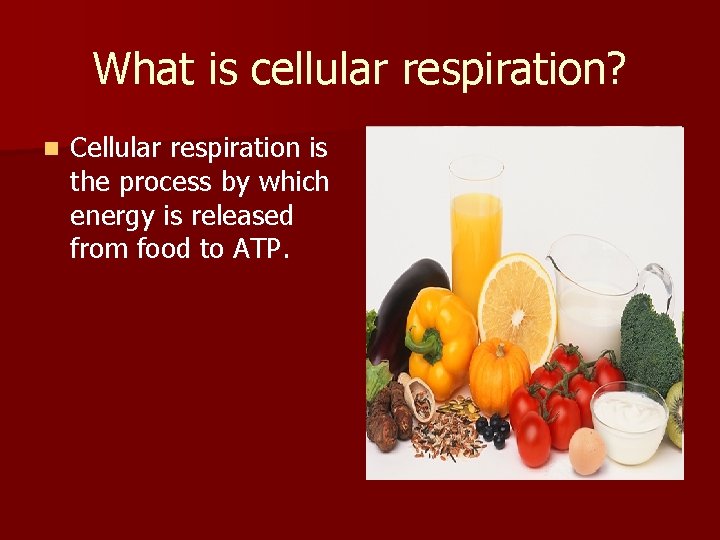 What is cellular respiration? n Cellular respiration is the process by which energy is