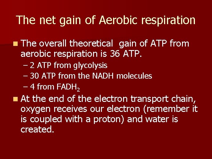 The net gain of Aerobic respiration n The overall theoretical gain of ATP from