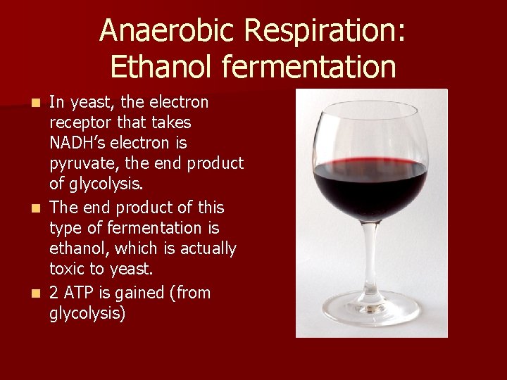 Anaerobic Respiration: Ethanol fermentation In yeast, the electron receptor that takes NADH’s electron is Anaerobic Respiration: Ethanol fermentation In yeast, the electron receptor that takes NADH’s electron is