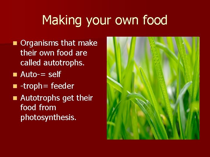 Making your own food Organisms that make their own food are called autotrophs. n