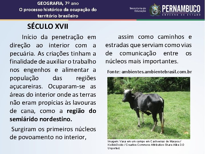 GEOGRAFIA, 7º ano O processo histórico da ocupação do território brasileiro SÉCULO XVII Início