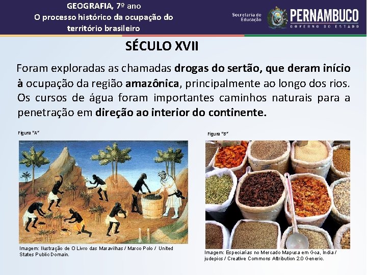 GEOGRAFIA, 7º ano O processo histórico da ocupação do território brasileiro SÉCULO XVII Foram