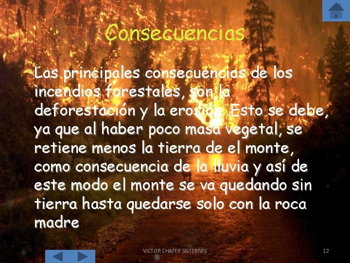 Consecuencias Las principales consecuencias de los incendios forestales, son la deforestación y la erosión.