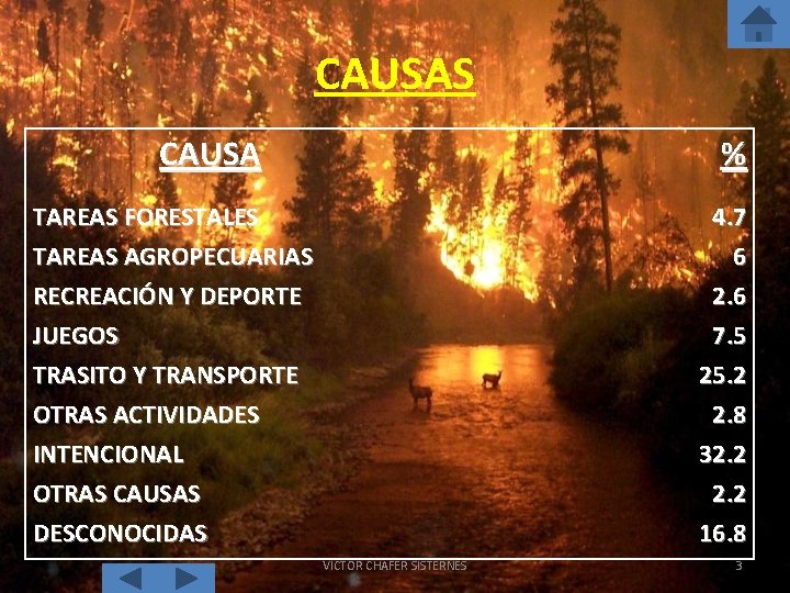 CAUSAS CAUSA % TAREAS FORESTALES TAREAS AGROPECUARIAS 4. 7 6 RECREACIÓN Y DEPORTE JUEGOS
