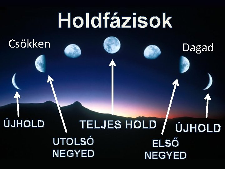 Holdfázisok Csökken ÚJHOLD Dagad TELJES HOLD UTOLSÓ NEGYED ÚJHOLD ELSŐ NEGYED 