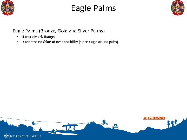 Eagle Palms (Bronze, Gold and Silver Palms) • • 5 more Merit Badges 3