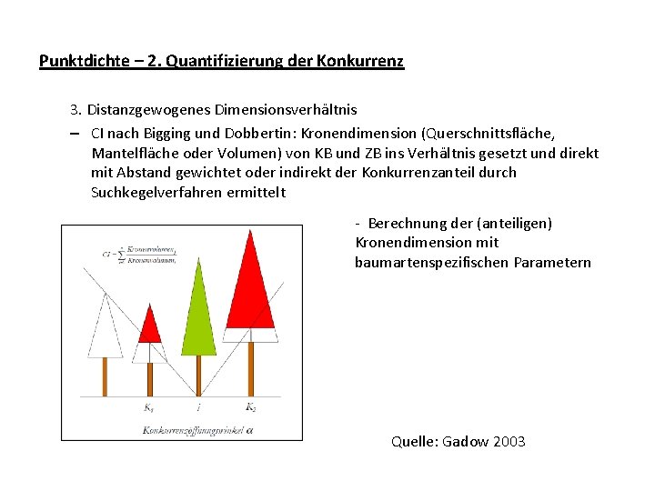 Punktdichte – 2. Quantifizierung der Konkurrenz 3. Distanzgewogenes Dimensionsverhältnis – CI nach Bigging und