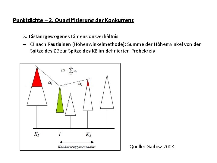 Punktdichte – 2. Quantifizierung der Konkurrenz 3. Distanzgewogenes Dimensionsverhältnis – CI nach Rautiainen (Höhenwinkelmethode):