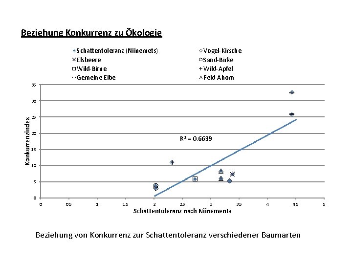 Beziehung Konkurrenz zu Ökologie Schattentoleranz (Niinemets) Elsbeere Wild-Birne Gemeine Eibe 35 Vogel-Kirsche Sand-Birke Wild-Apfel