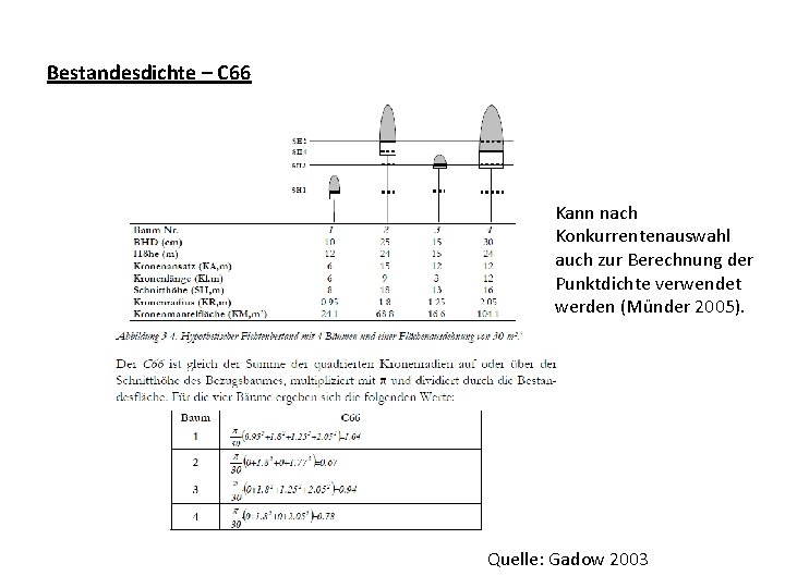 Bestandesdichte – C 66 Kann nach Konkurrentenauswahl auch zur Berechnung der Punktdichte verwendet werden