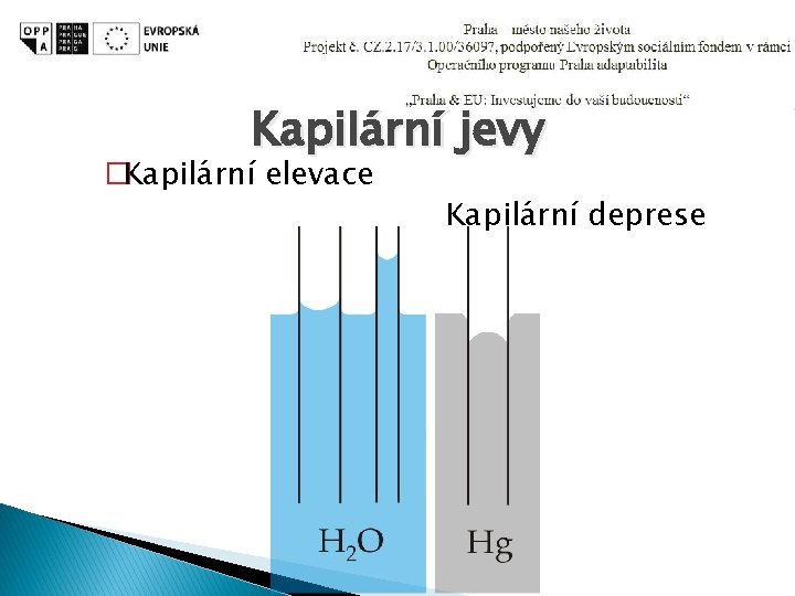 Kapilární jevy �Kapilární elevace Kapilární deprese 