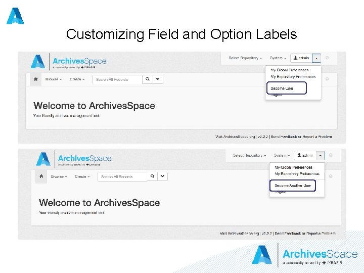 Customizing Field and Option Labels 
