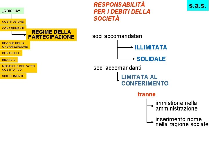 RESPONSABILITÀ PER I DEBITI DELLA SOCIETÀ „GRIGLIA“ COSTITUZIONE CONFERIMENTI REGIME DELLA PARTECIPAZIONE REGOLE DELLA