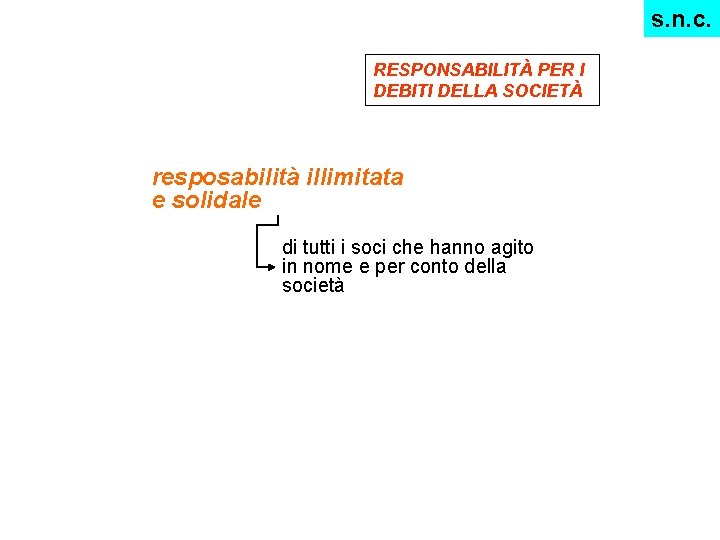 s. n. c. RESPONSABILITÀ PER I DEBITI DELLA SOCIETÀ resposabilità illimitata e solidale di