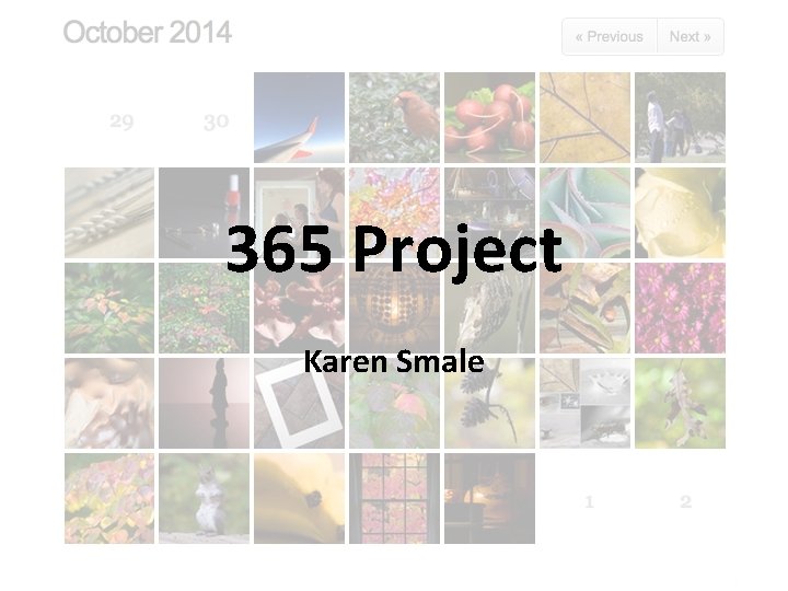 365 Project Karen Smale 