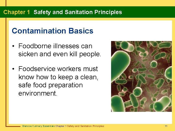 Chapter 1 Safety and Sanitation Principles Contamination Basics • Foodborne illnesses can sicken and