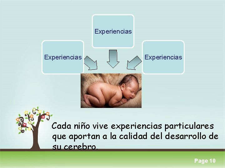 Experiencias Cada niño vive experiencias particulares que aportan a la calidad del desarrollo de