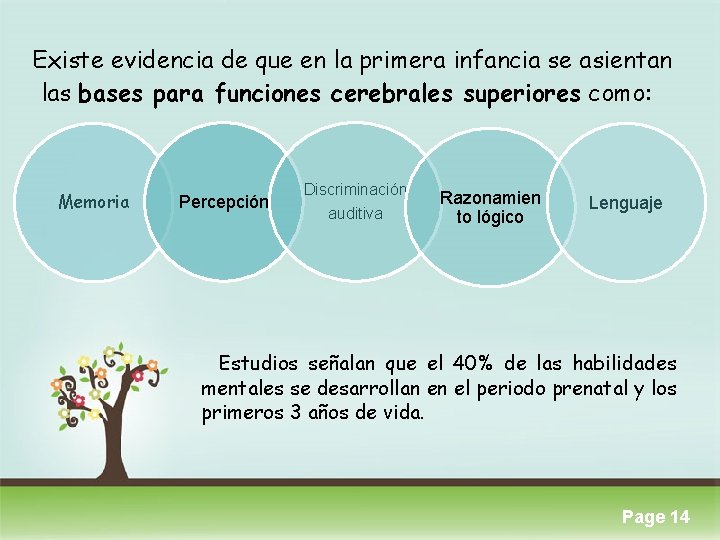 Existe evidencia de que en la primera infancia se asientan las bases para funciones