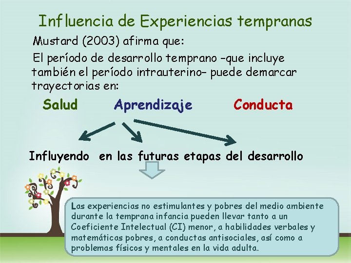 Influencia de Experiencias tempranas Mustard (2003) afirma que: El período de desarrollo temprano –que