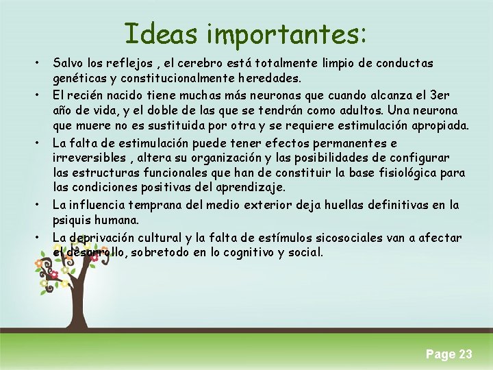 Ideas importantes: • • • Salvo los reflejos , el cerebro está totalmente limpio