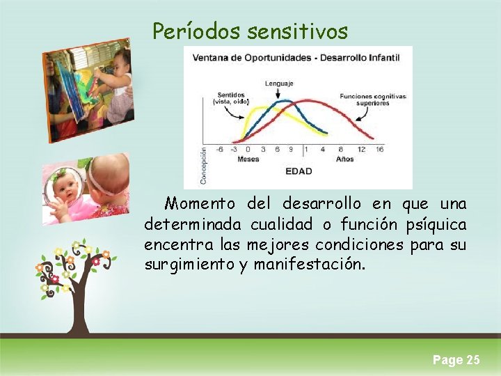 Períodos sensitivos Momento del desarrollo en que una determinada cualidad o función psíquica encentra