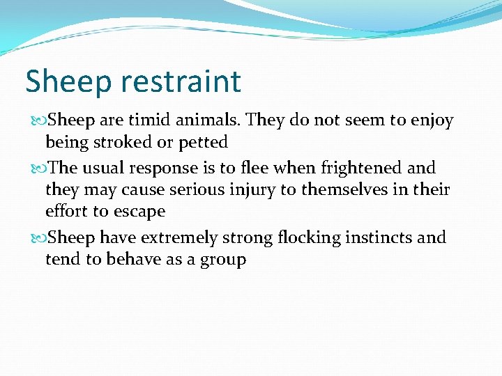 Sheep restraint Sheep are timid animals. They do not seem to enjoy being stroked