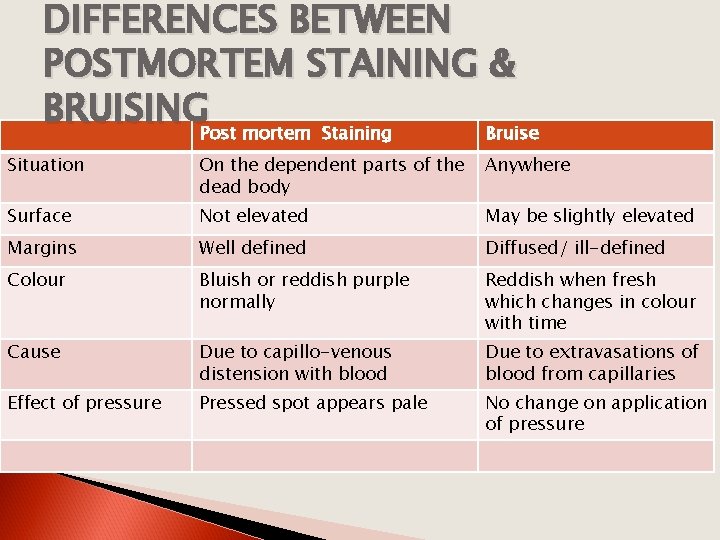 DIFFERENCES BETWEEN POSTMORTEM STAINING & BRUISING Post mortem Staining Bruise Situation On the dependent