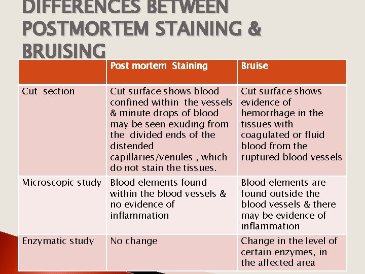 DIFFERENCES BETWEEN POSTMORTEM STAINING & BRUISING Cut section Post mortem Staining Bruise Cut surface