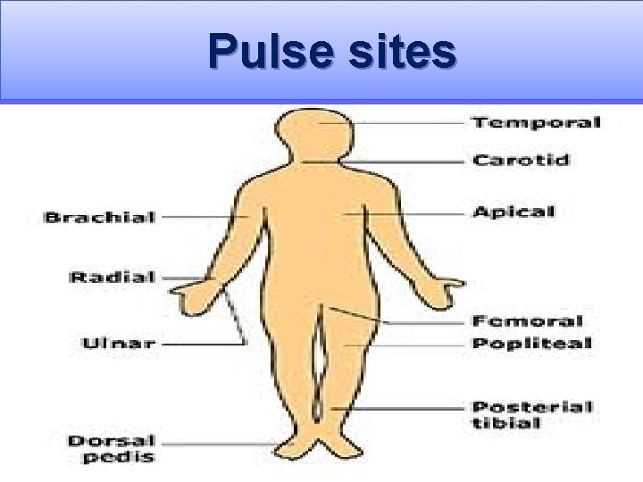  Pulse sites 