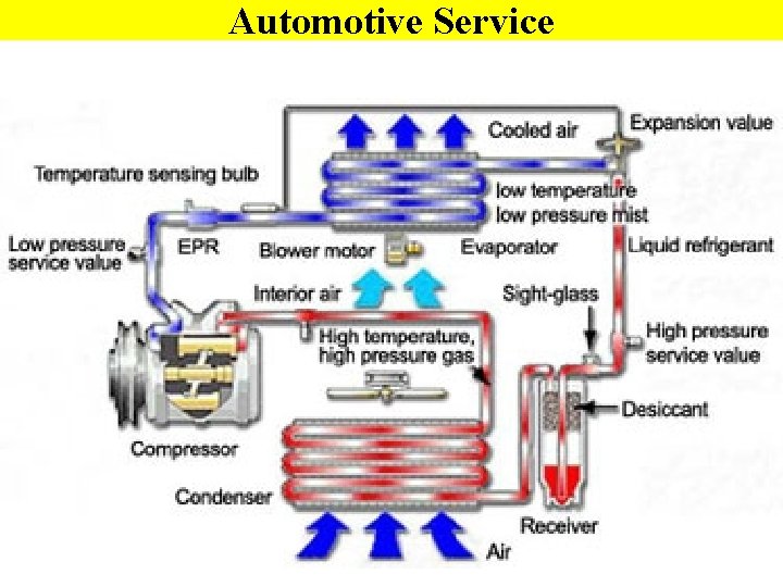 Automotive Service 