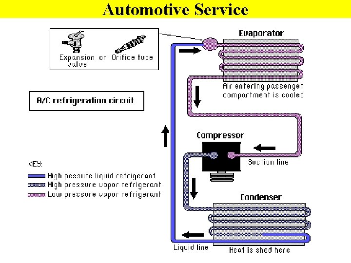 Automotive Service 