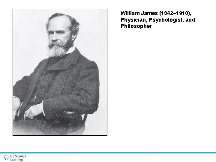 William James (1842– 1910), Physician, Psychologist, and Philosopher 