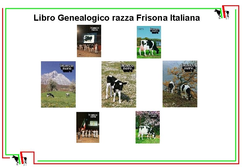 Libro Genealogico razza Frisona Italiana 