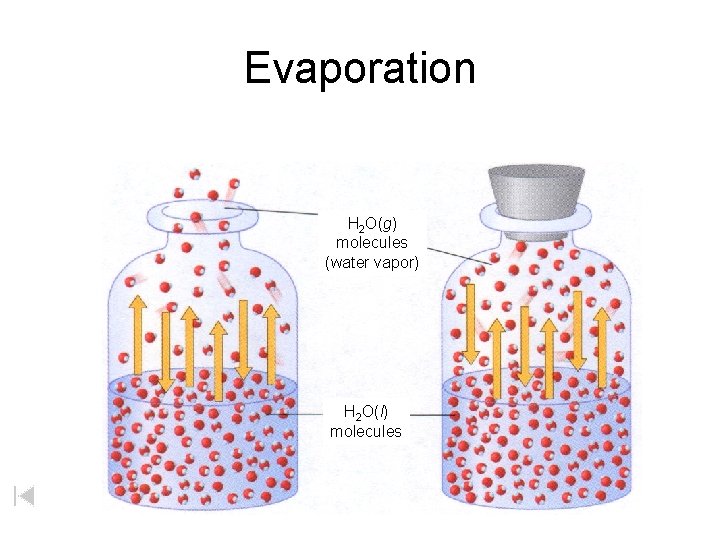 Evaporation H 2 O(g) molecules (water vapor) H 2 O(l) molecules 