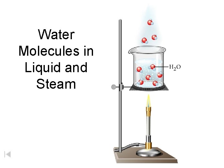 Water Molecules in Liquid and Steam 