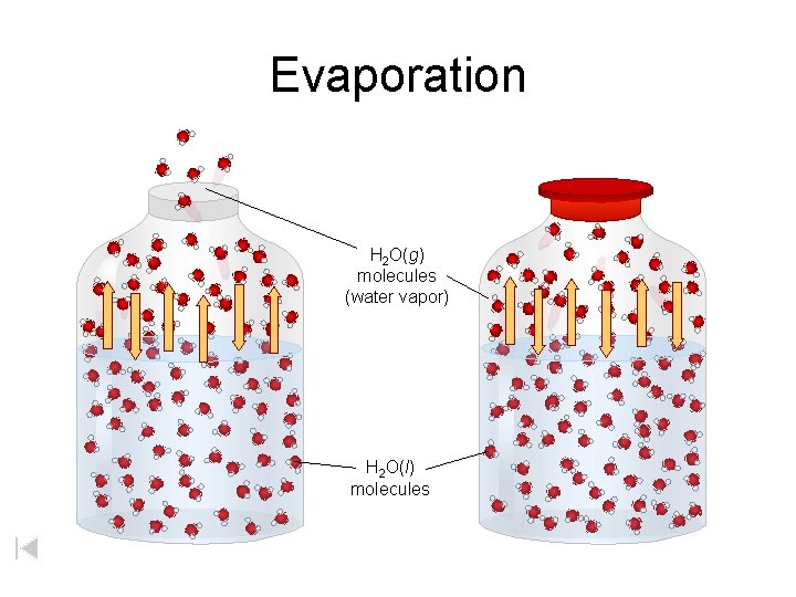 Evaporation H 2 O(g) molecules (water vapor) H 2 O(l) molecules 