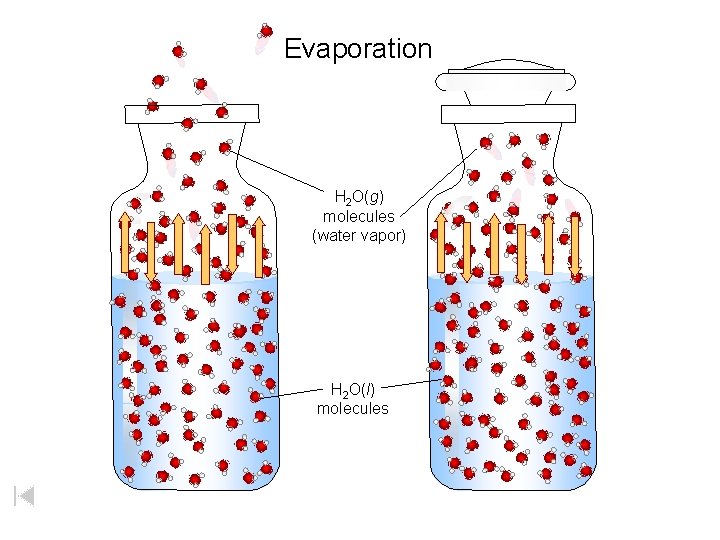 Evaporation H 2 O(g) molecules (water vapor) H 2 O(l) molecules 