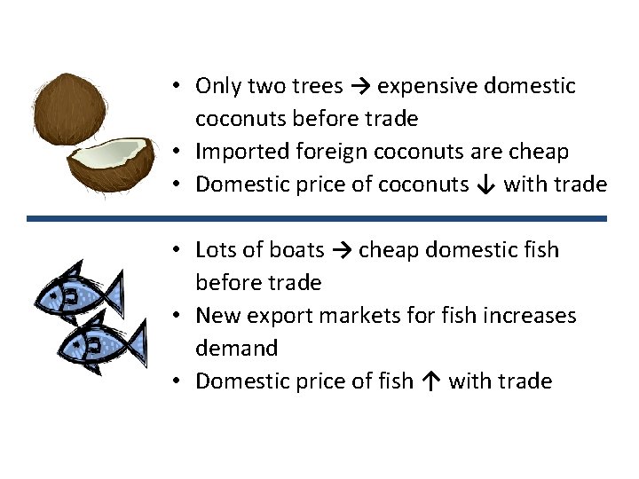  • Only two trees → expensive domestic coconuts before trade • Imported foreign