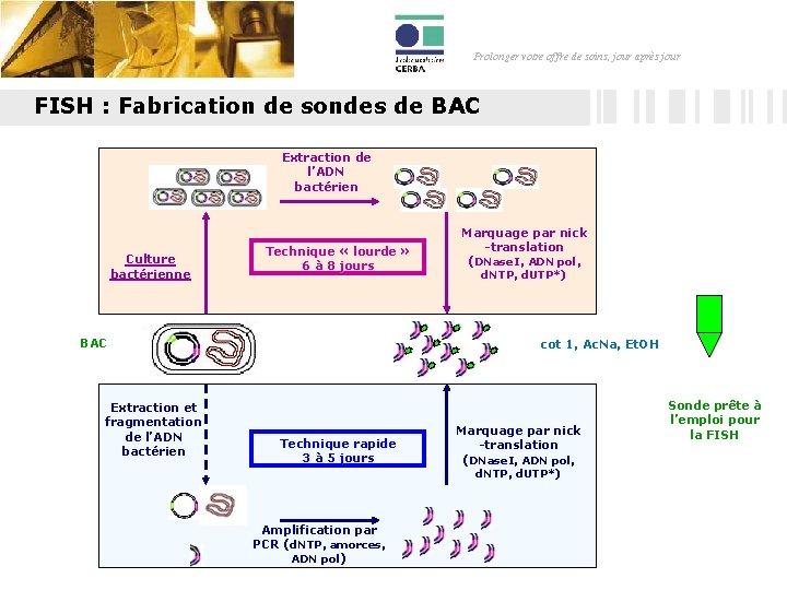 Prolonger votre offre de soins, jour après jour FISH : Fabrication de sondes de