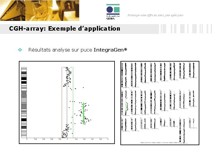 Prolonger votre offre de soins, jour après jour CGH-array: Exemple d’application v Résultats analyse