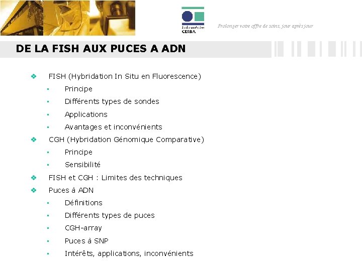 Prolonger votre offre de soins, jour après jour DE LA FISH AUX PUCES A