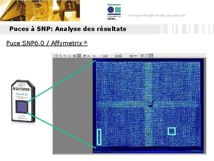 Prolonger votre offre de soins, jour après jour Puces à SNP: Analyse des résultats