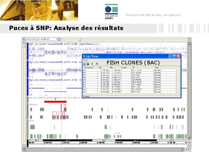 Prolonger votre offre de soins, jour après jour Puces à SNP: Analyse des résultats