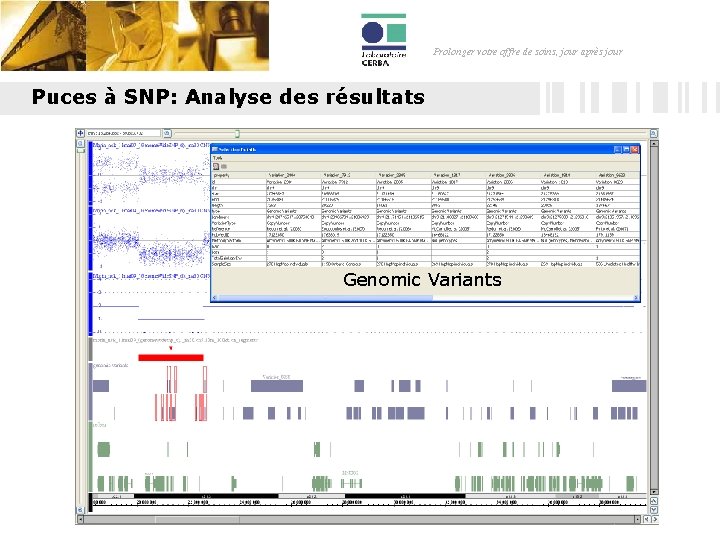 Prolonger votre offre de soins, jour après jour Puces à SNP: Analyse des résultats