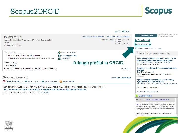 Scopus 2 ORCID Adauga profilul la ORCID 