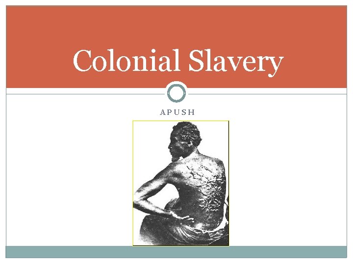 Colonial Slavery APUSH 